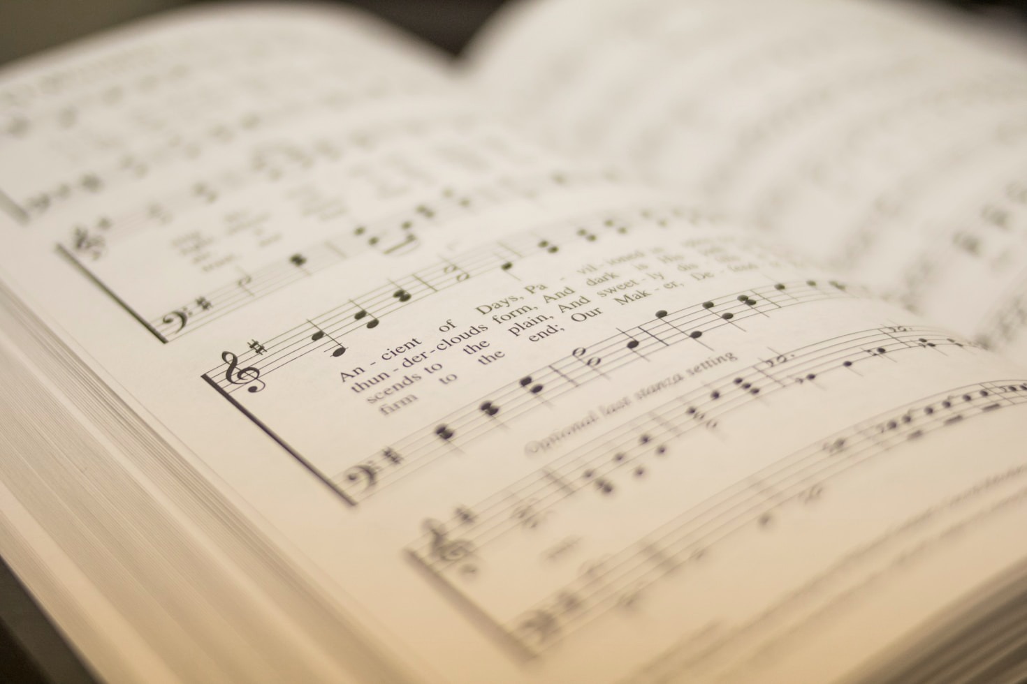 5 Reasons Musical Garden Books Captivate Young Minds